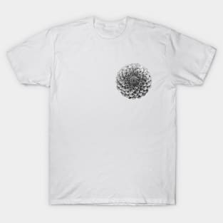 Dahlia Flower Floral T-Shirt